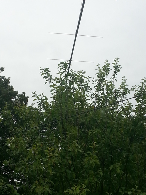 Antenne door appelboom van de buren